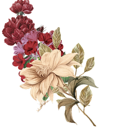 orn-cover