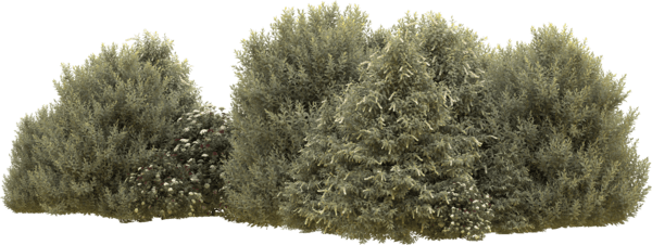 Ornaments